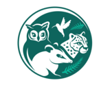 funmividas.org